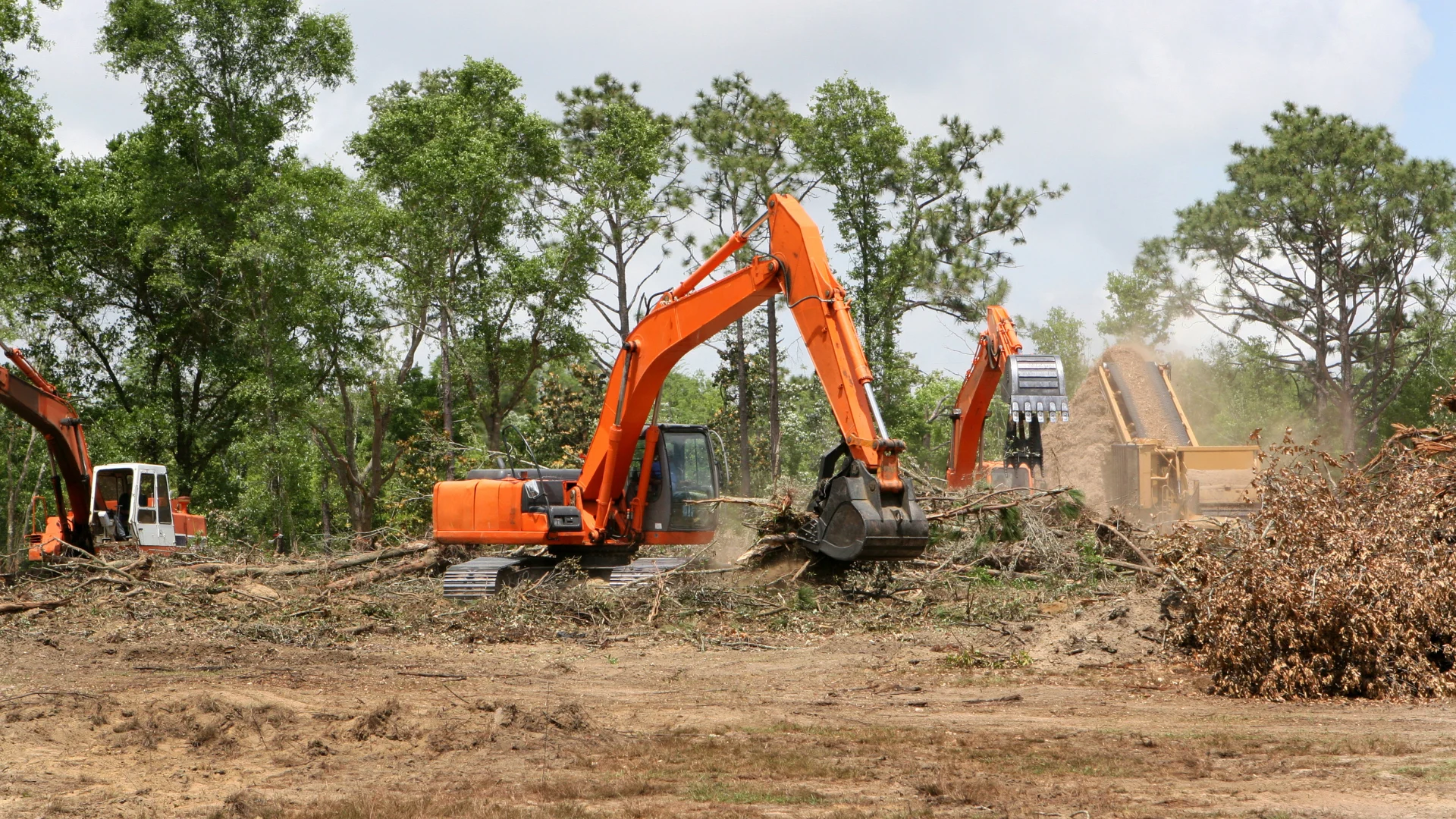 Land Cleaning Services (3)