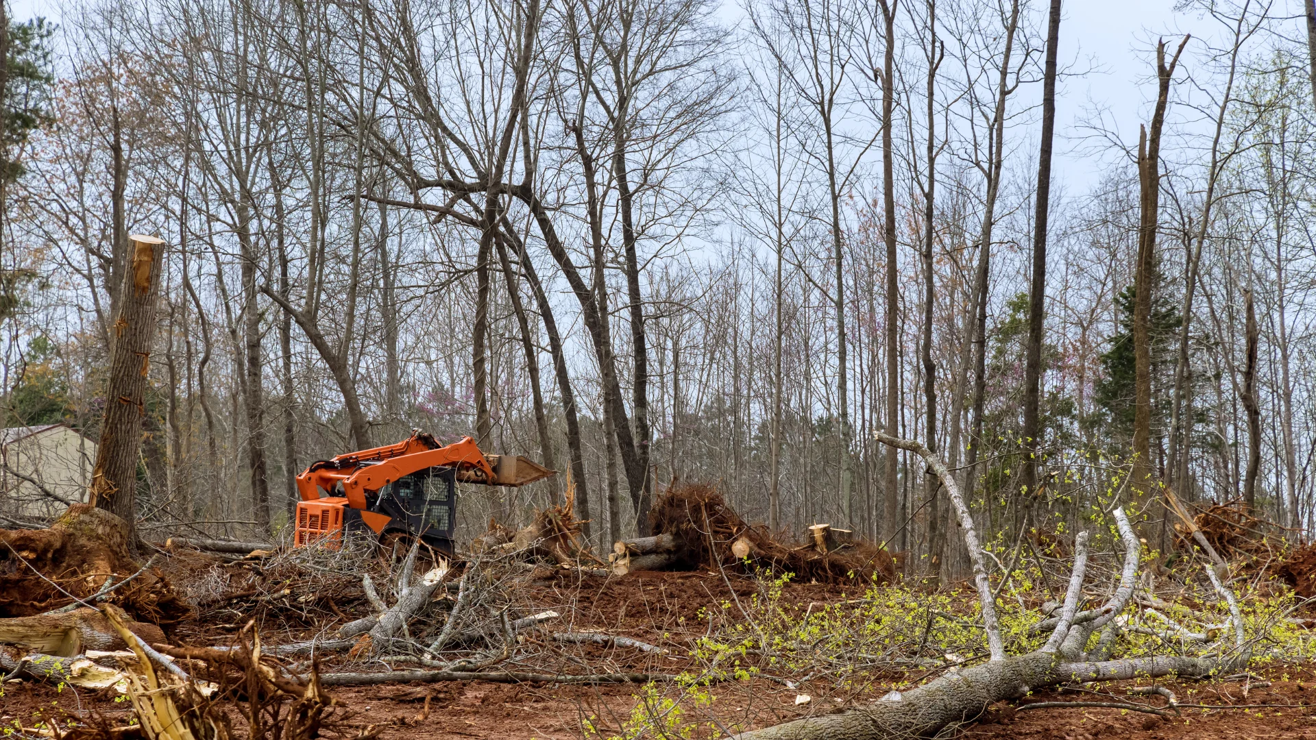 Reliable Land Clearing Services in Vancouver – Fast & Affordable